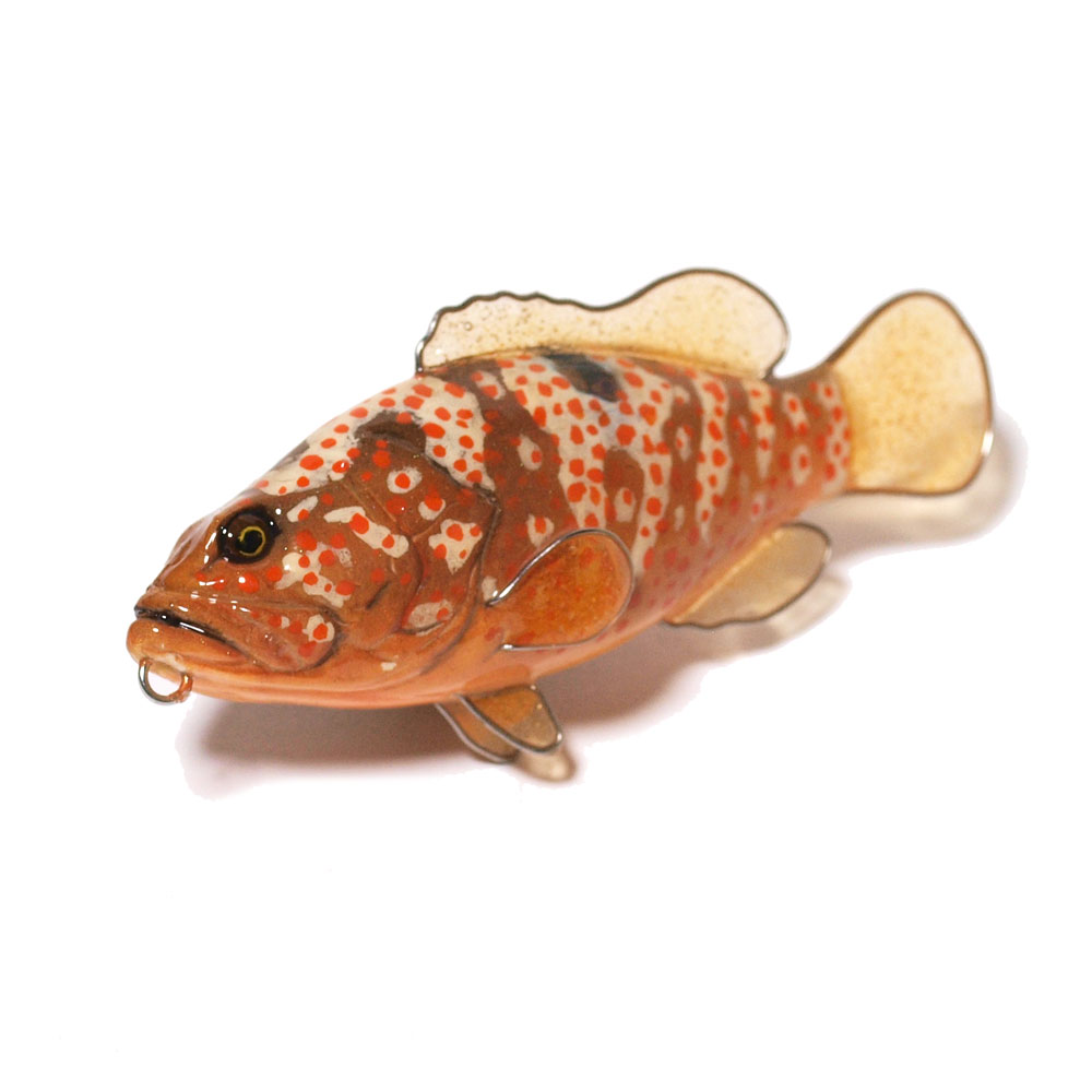 アコウ